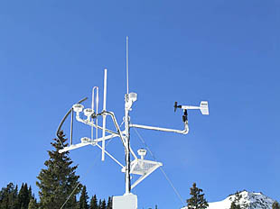 Swamp Angel Mast