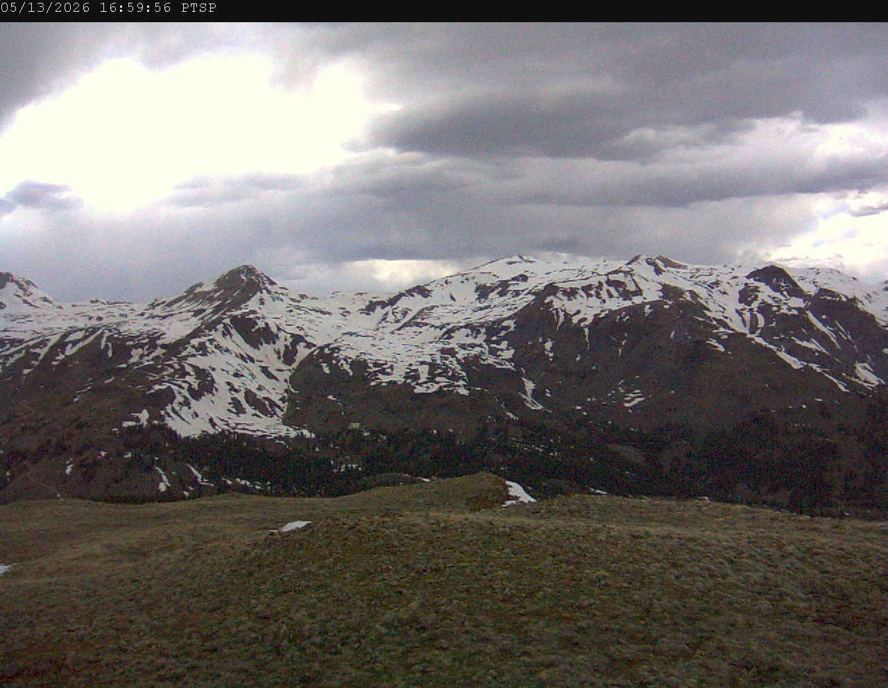 PTSP image 7