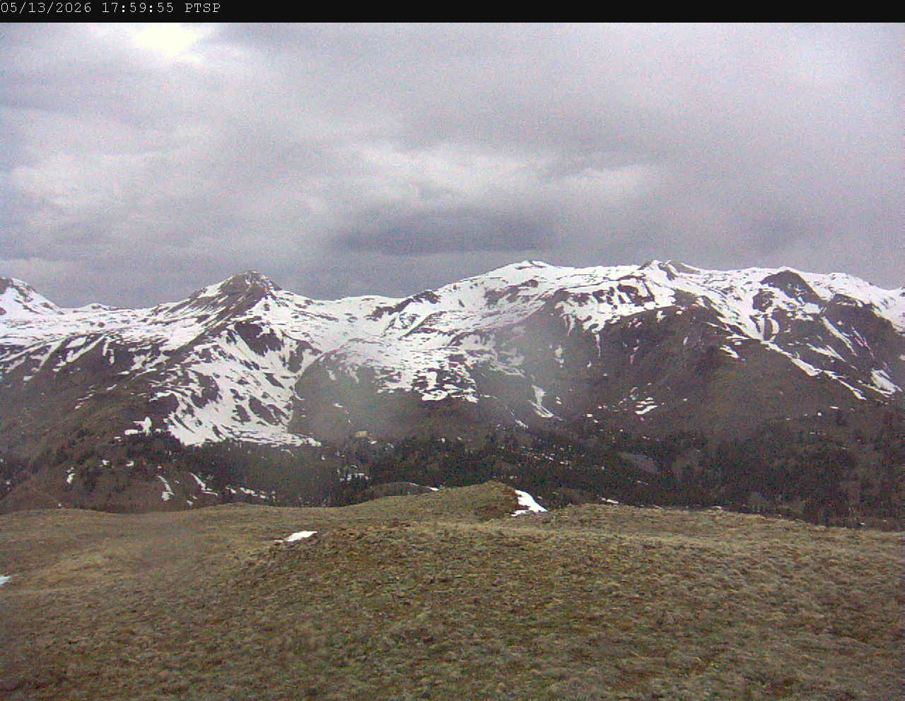 PTSP image 6