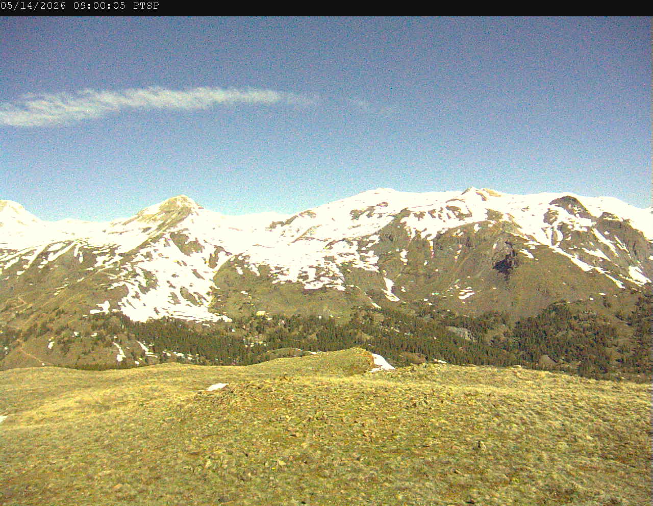 PTSP image 4