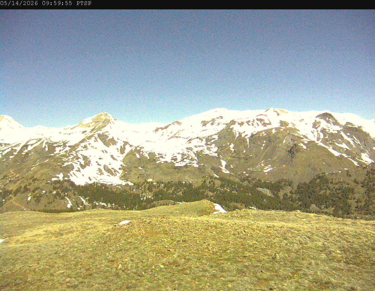 PTSP image 3