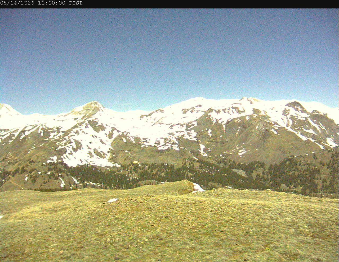 PTSP image 2