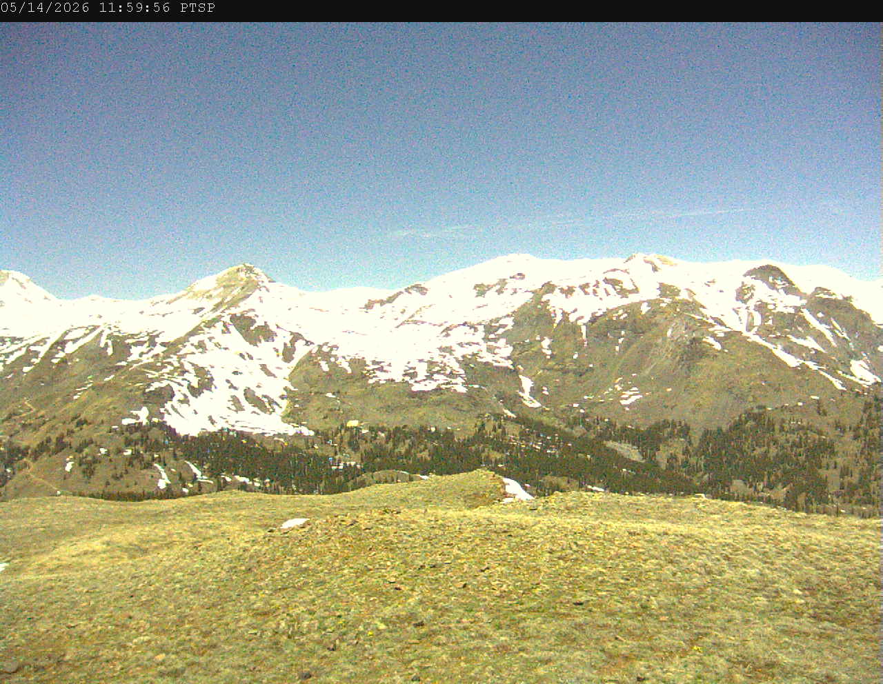 PTSP image 1