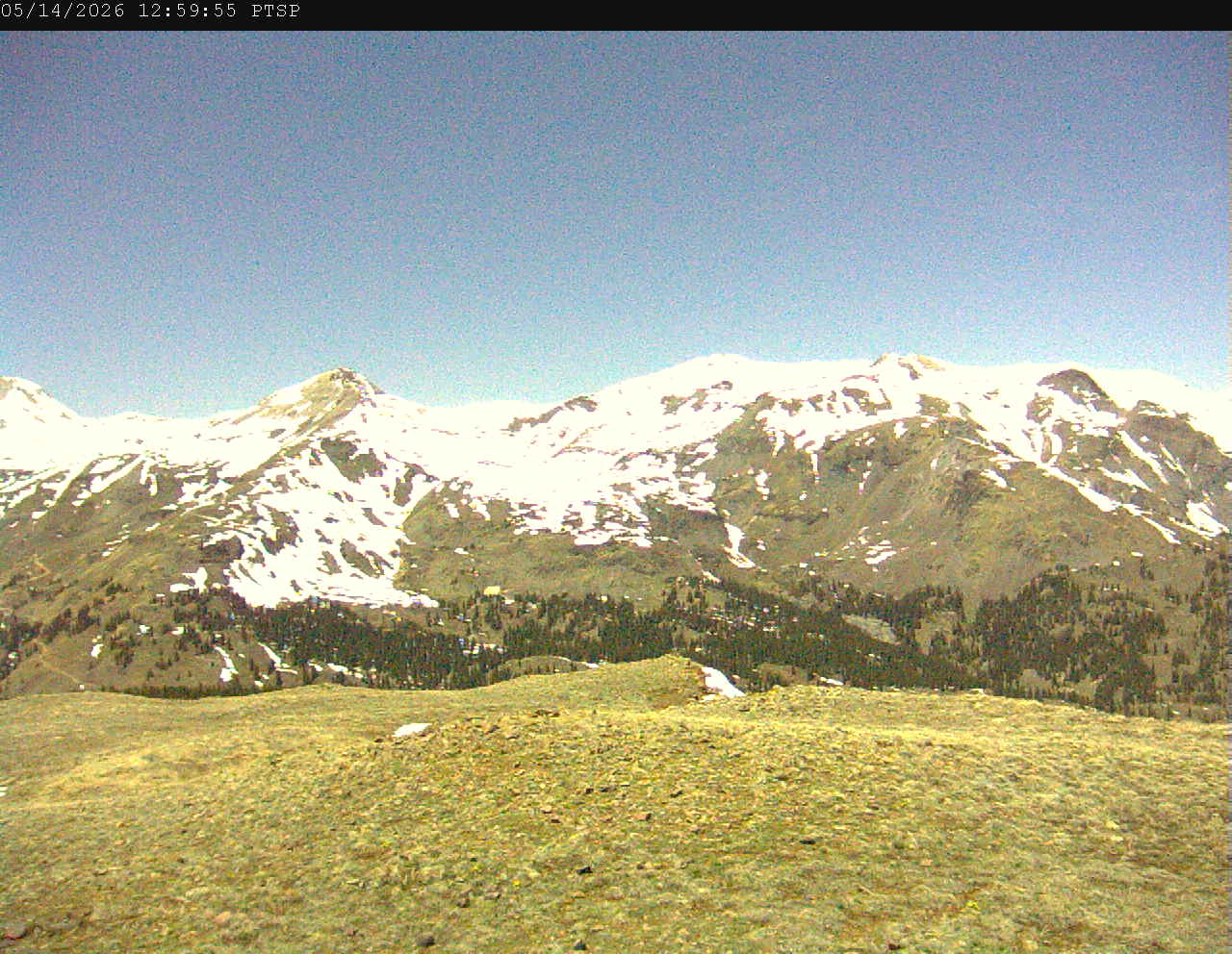 PTSP image