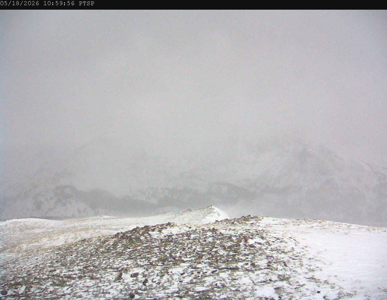 PTSP image 7