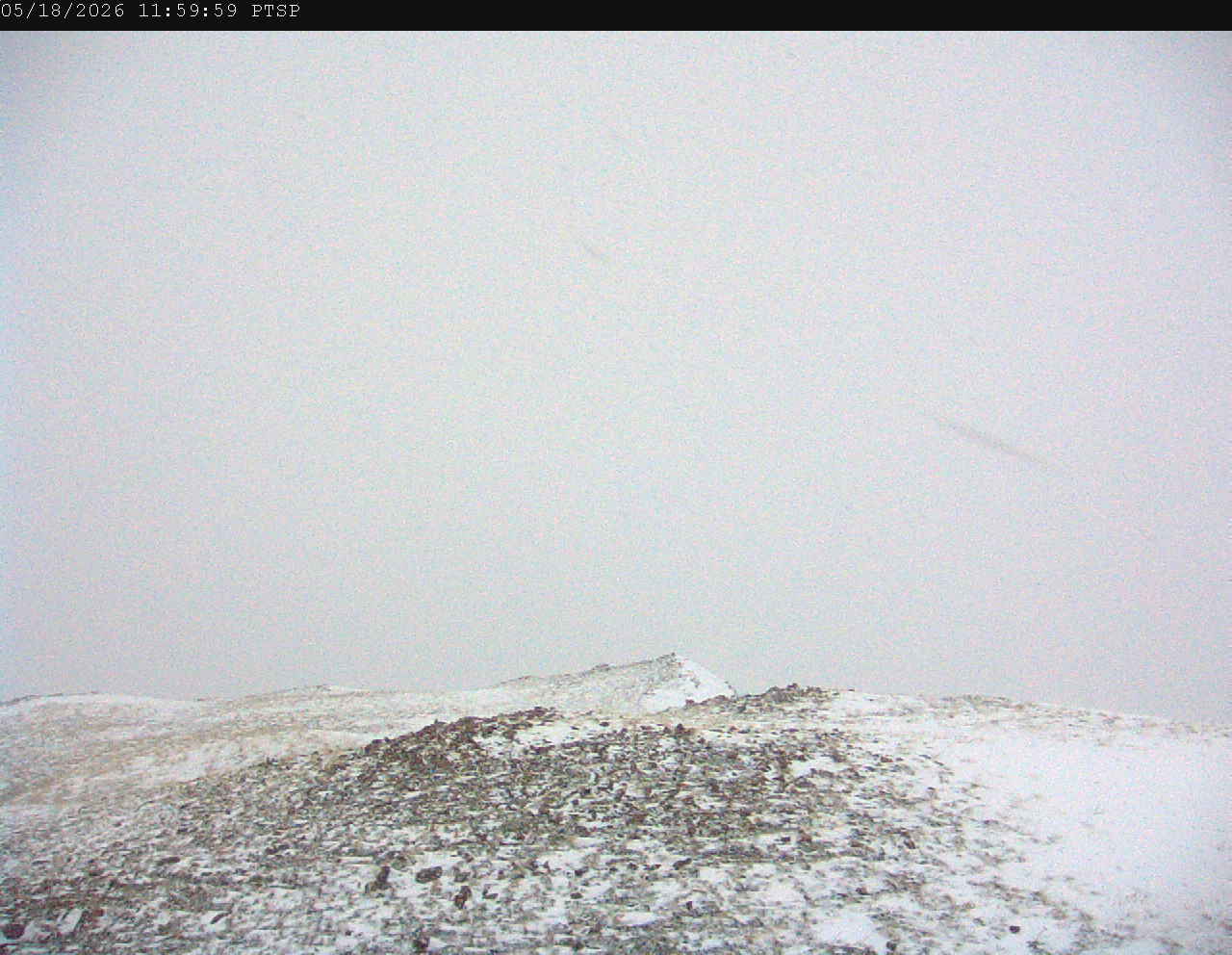 PTSP image 6