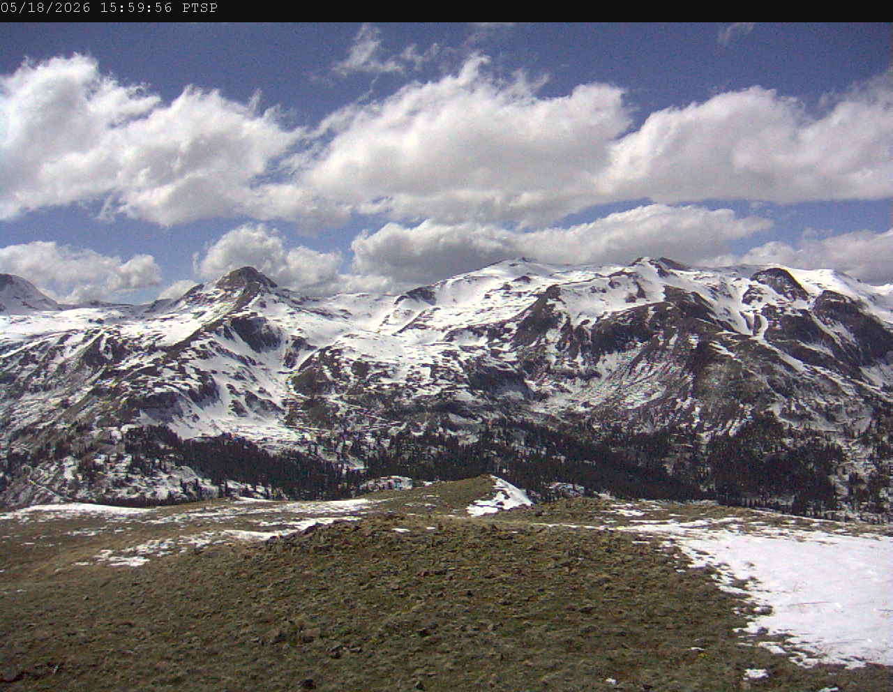 PTSP image 3