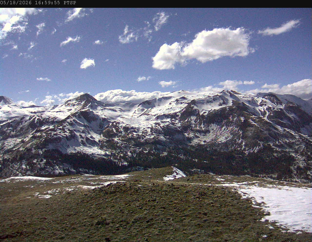 PTSP image 2