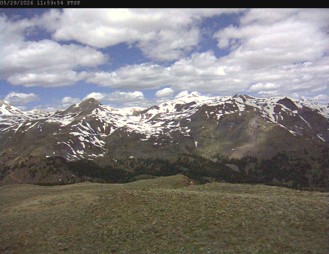 PTSP image 7