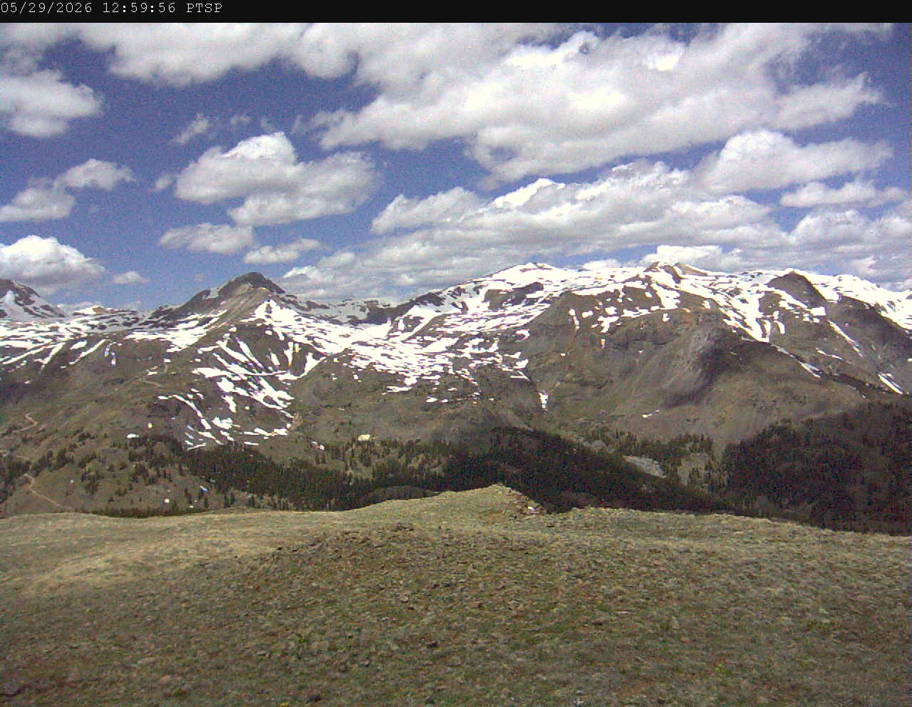 PTSP image 6
