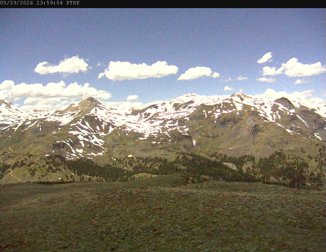PTSP image 5