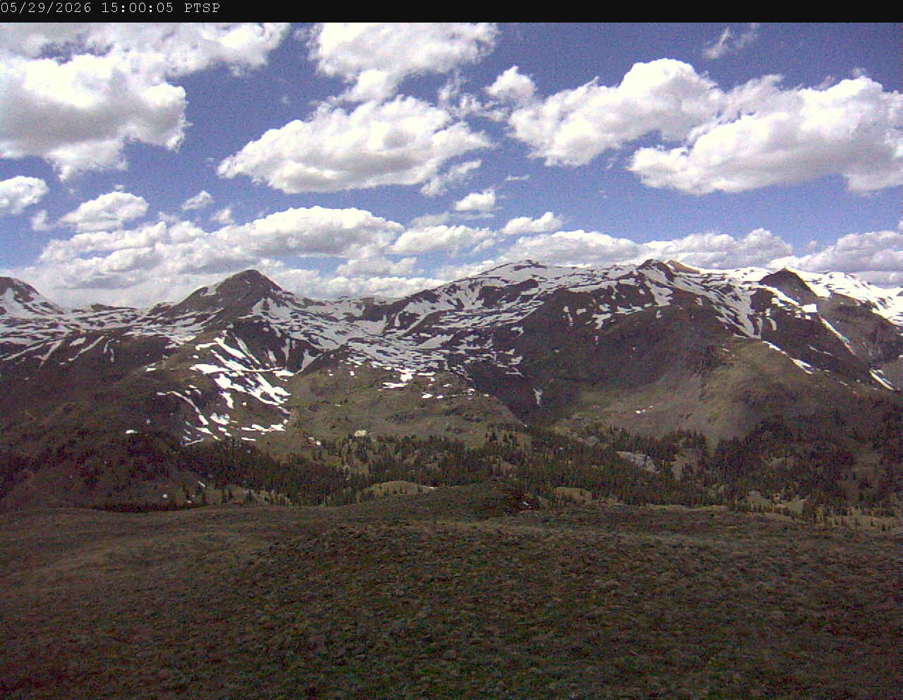 PTSP image 4