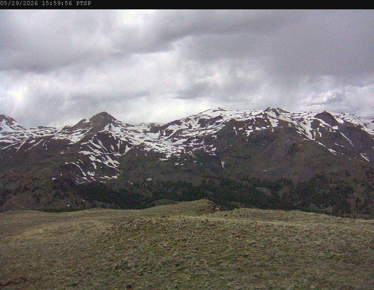 PTSP image 3