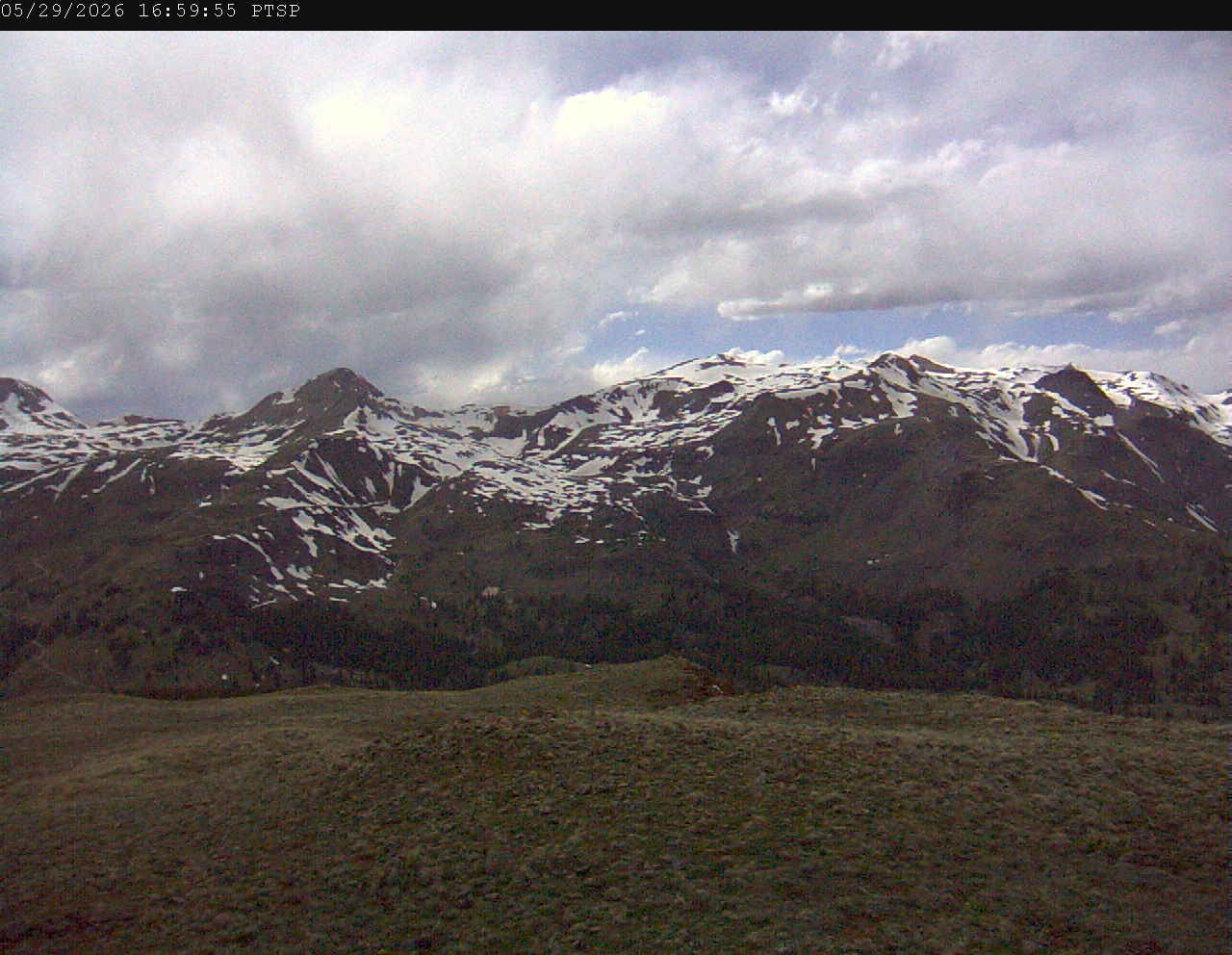 PTSP image 2