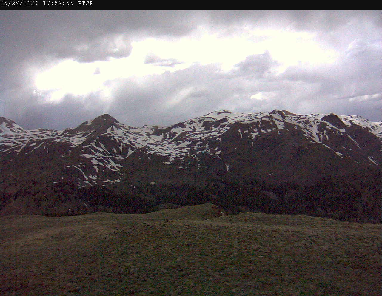 PTSP image 1