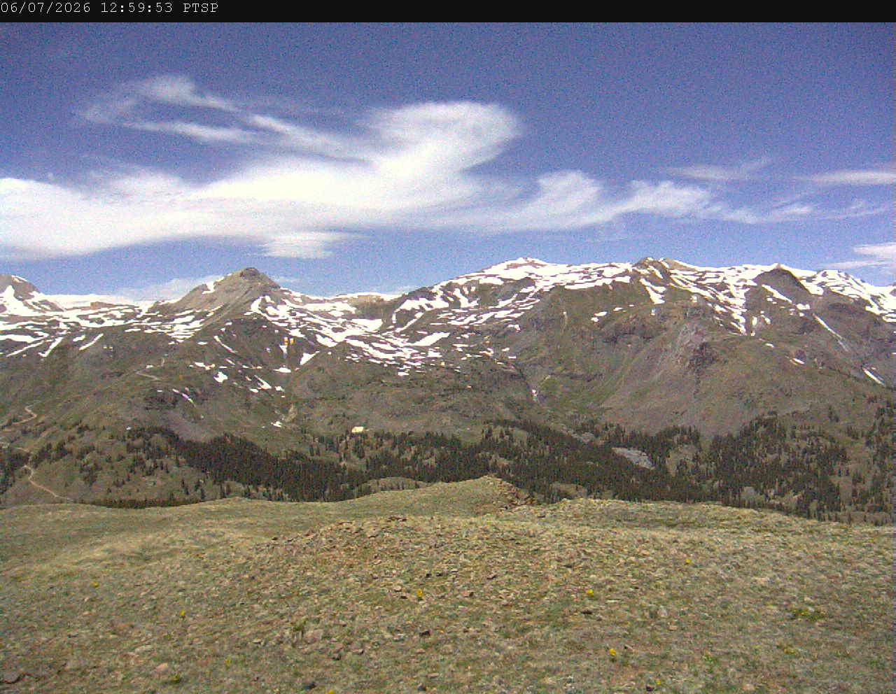 PTSP image 6