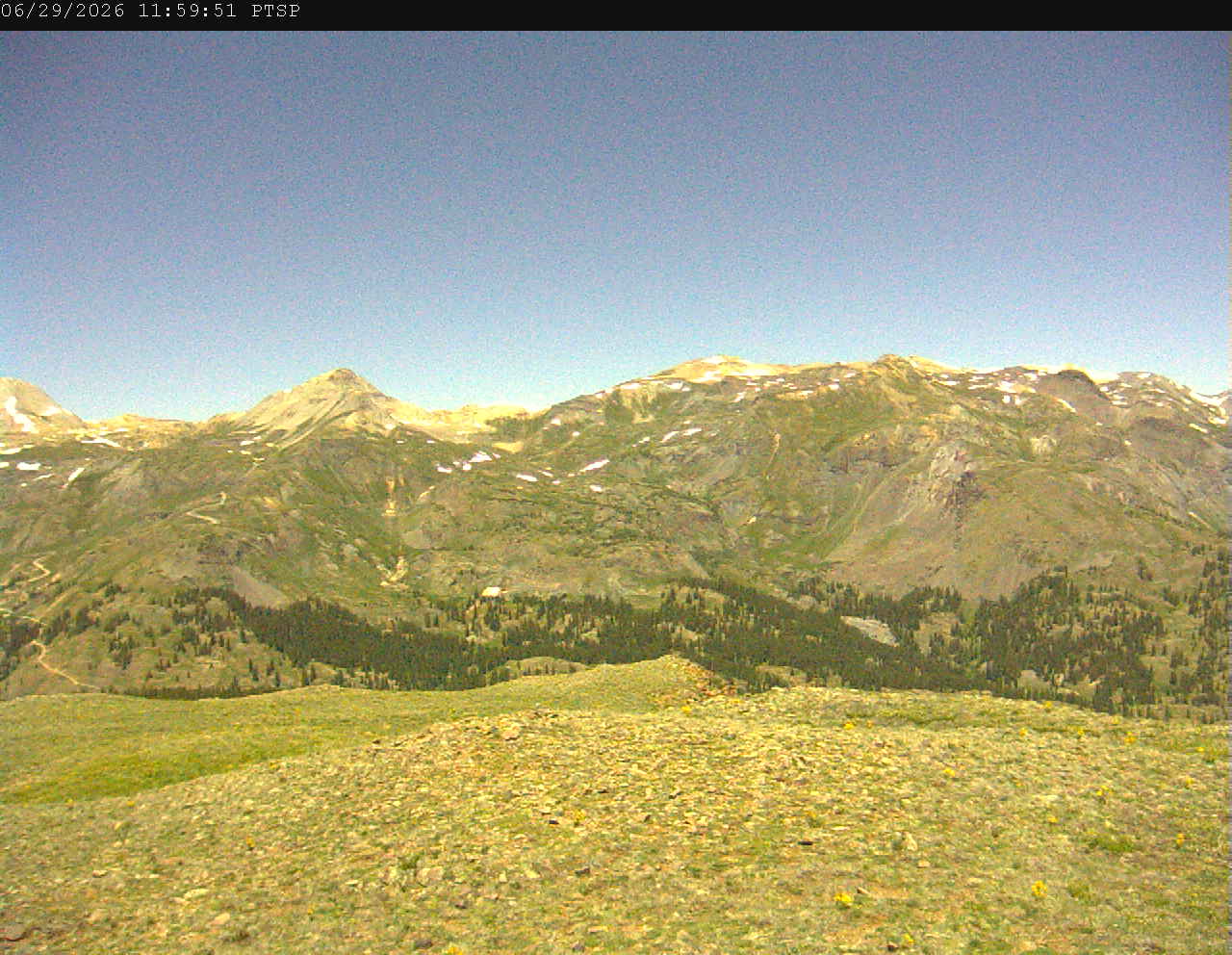 PTSP image 7