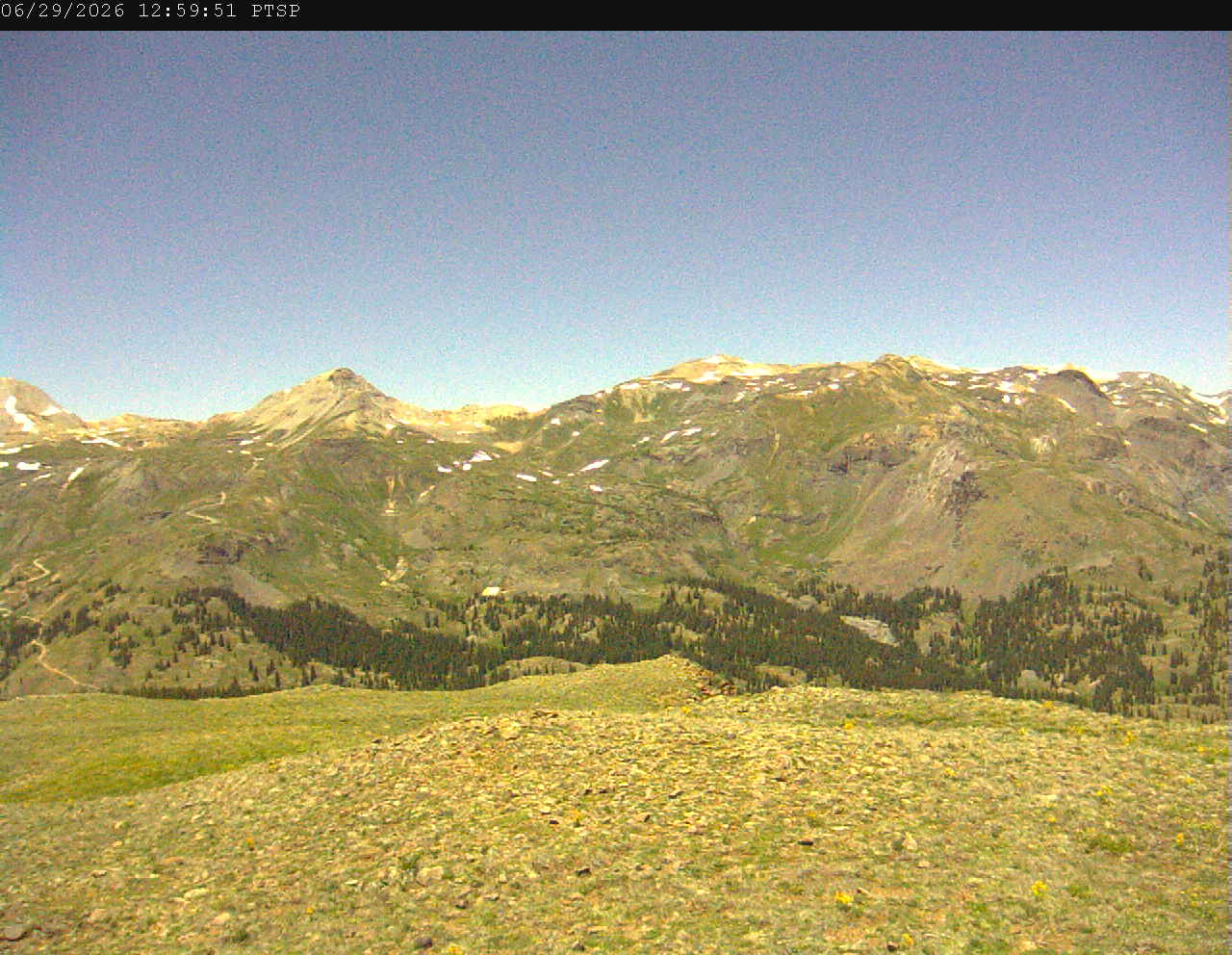 PTSP image 6