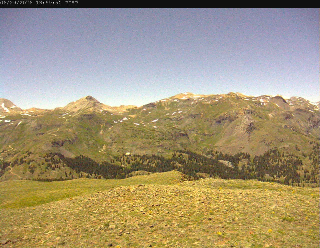 PTSP image 5