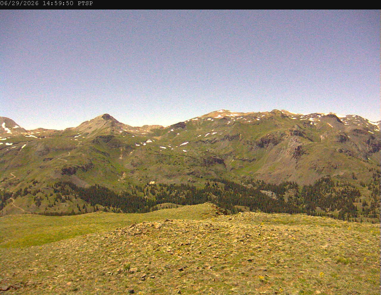 PTSP image 4