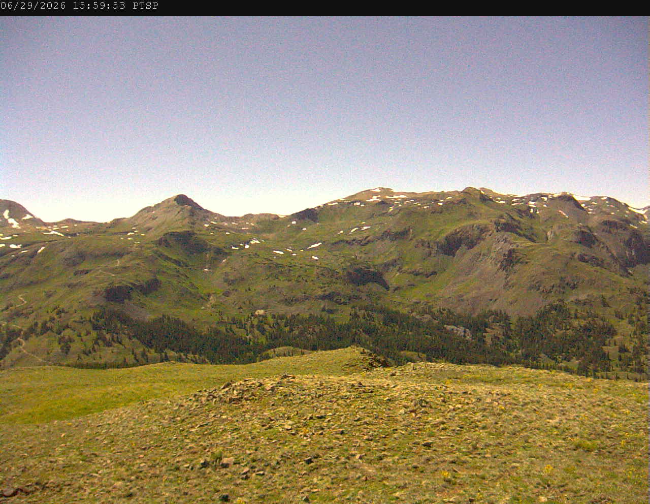 PTSP image 3