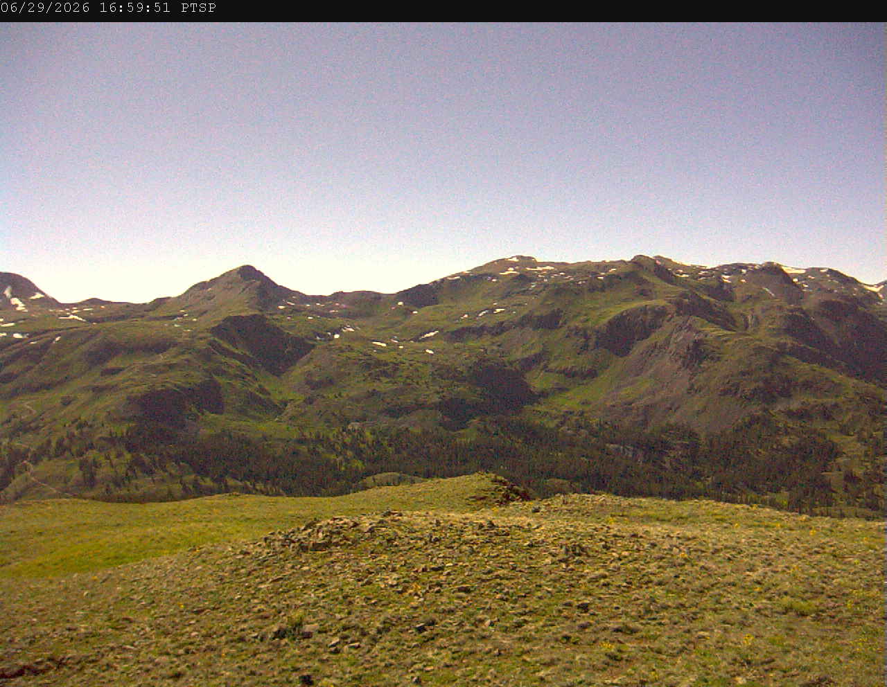 PTSP image 2