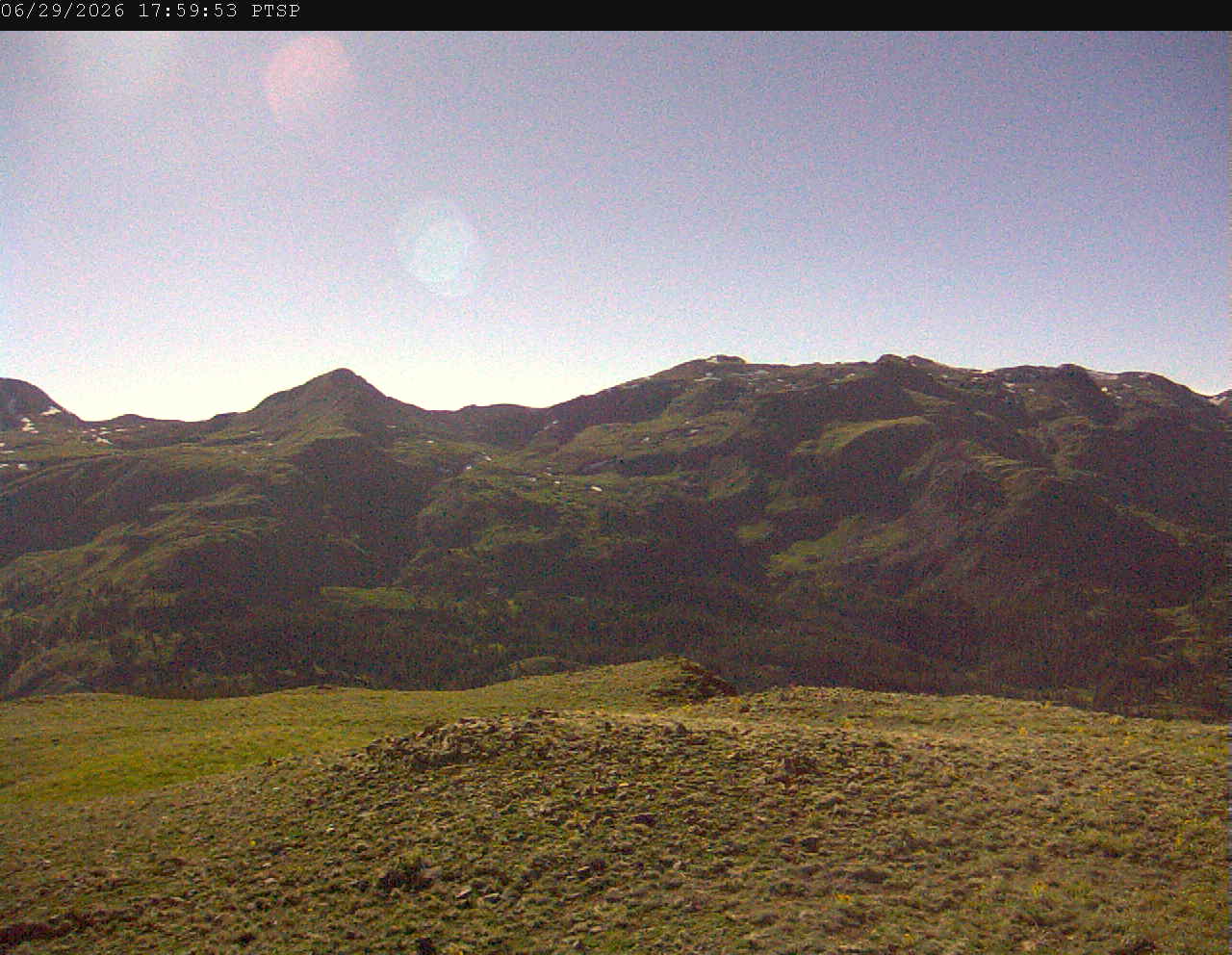 PTSP image 1