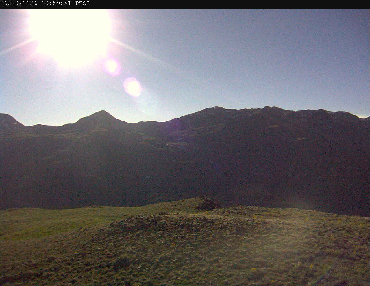 PTSP image