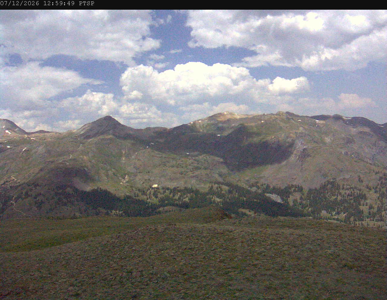 PTSP image 7