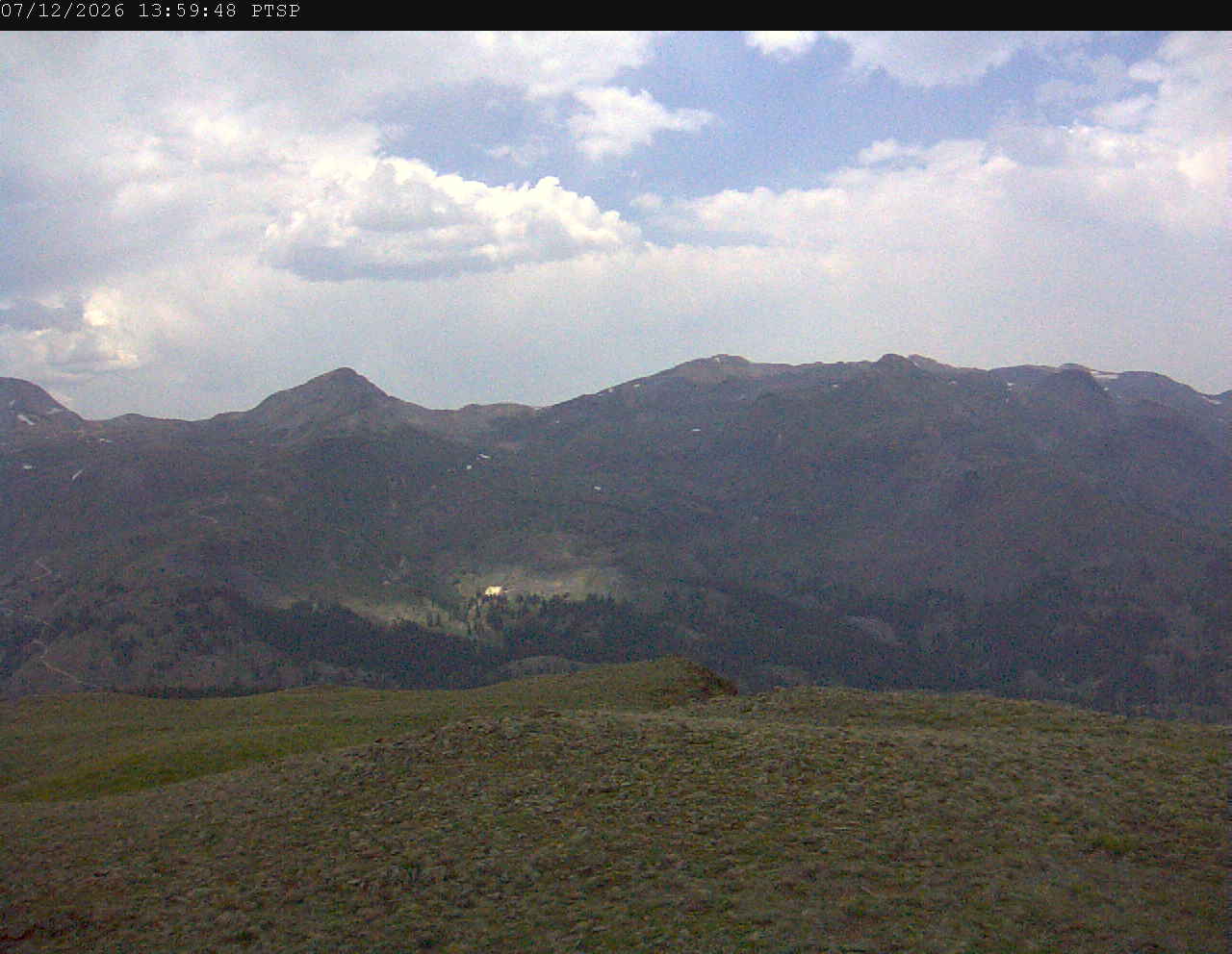 PTSP image 6