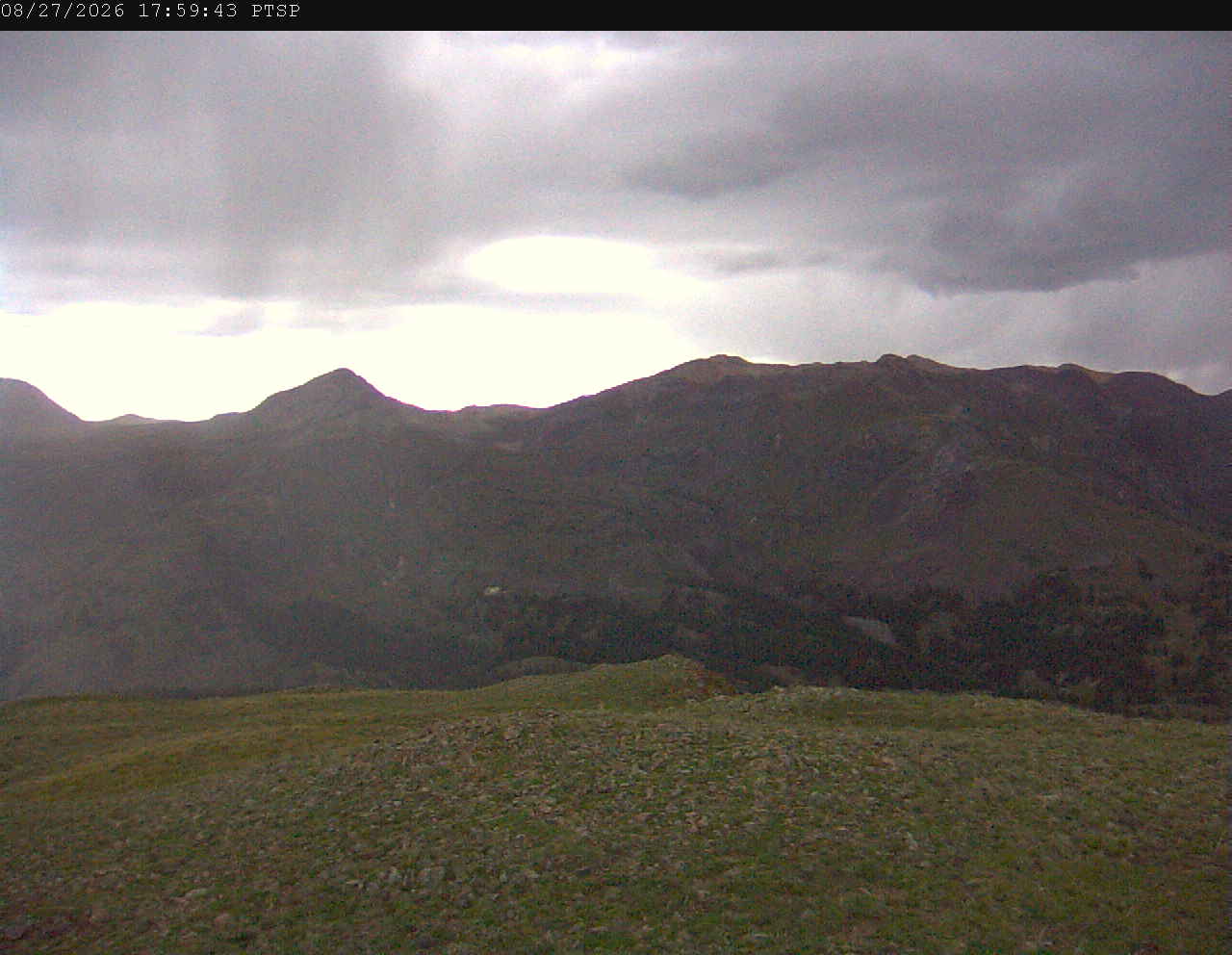 PTSP image 7
