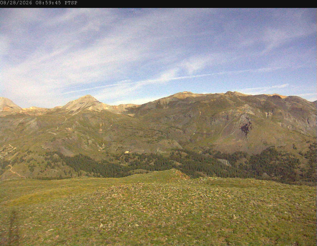PTSP image 5