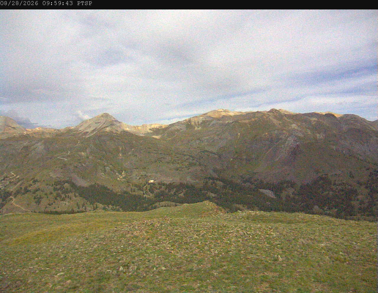 PTSP image 4
