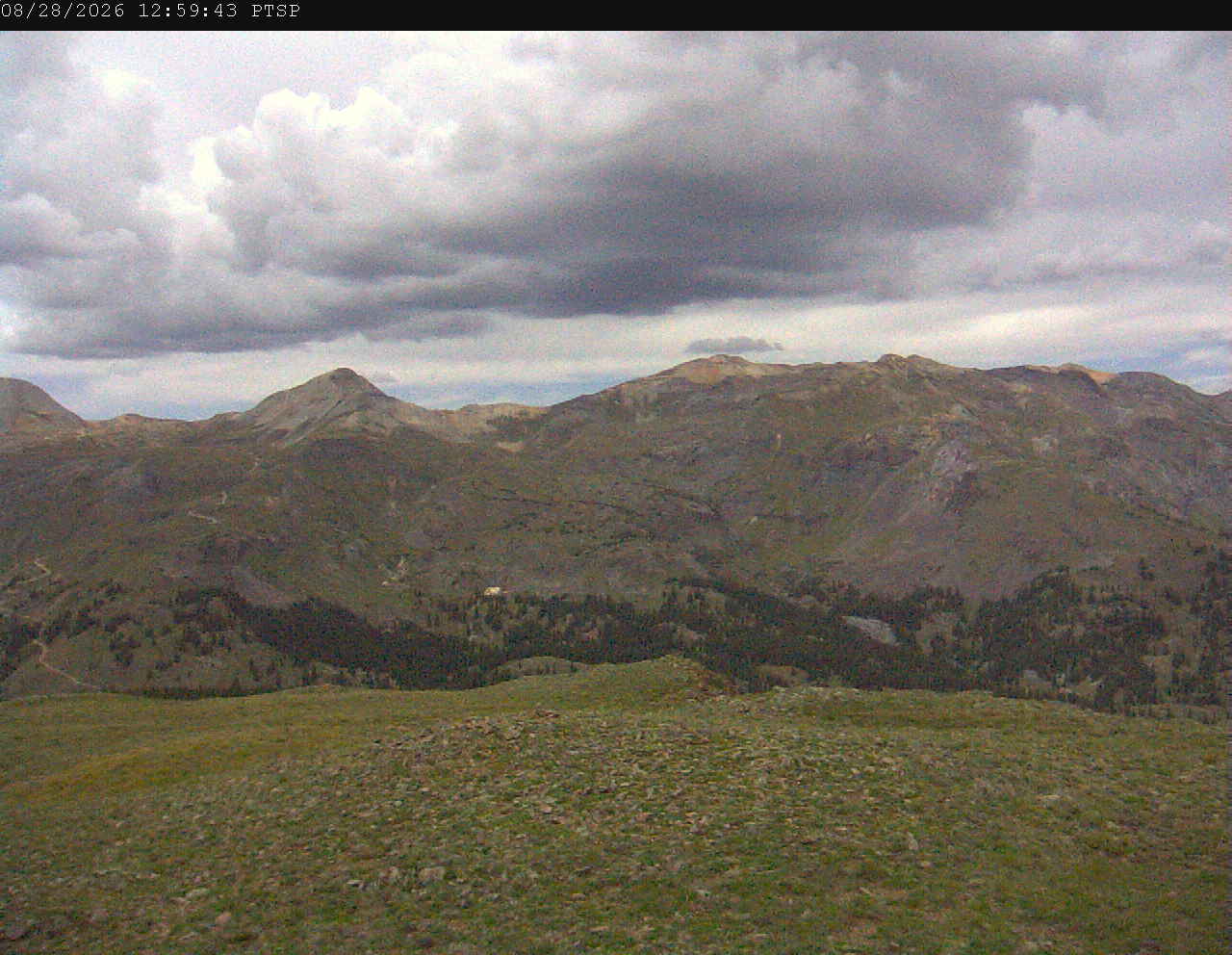 PTSP image 1