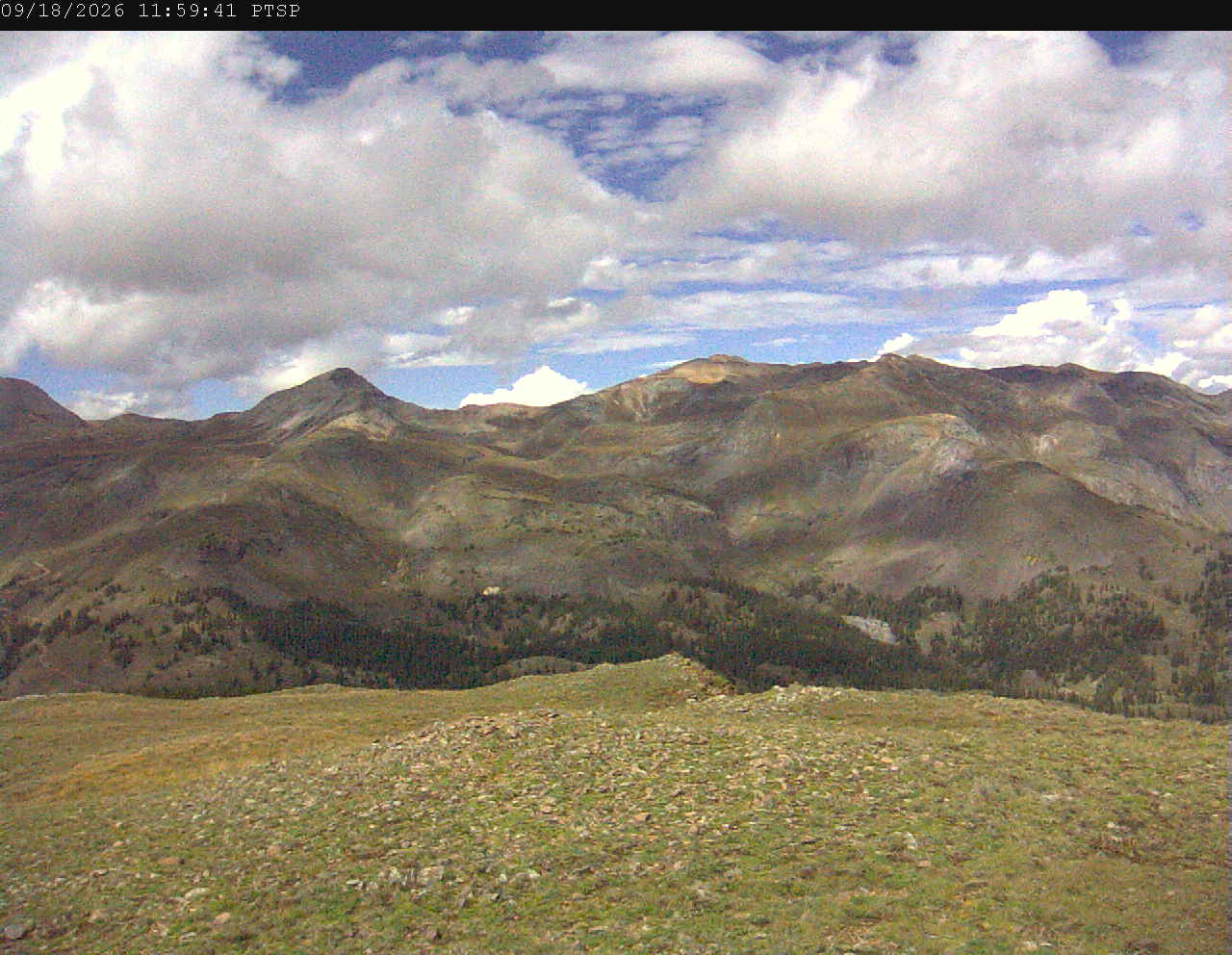 PTSP image 7