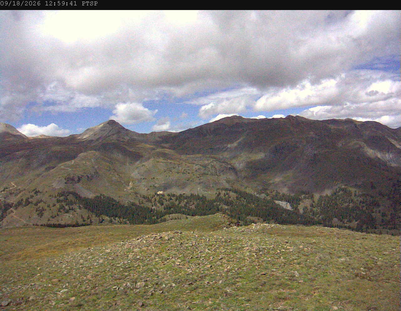 PTSP image 6