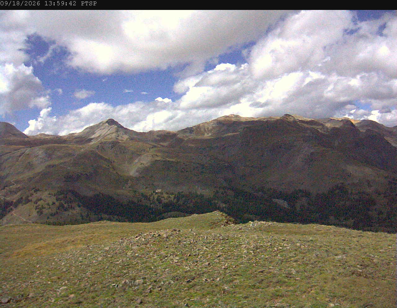 PTSP image 5