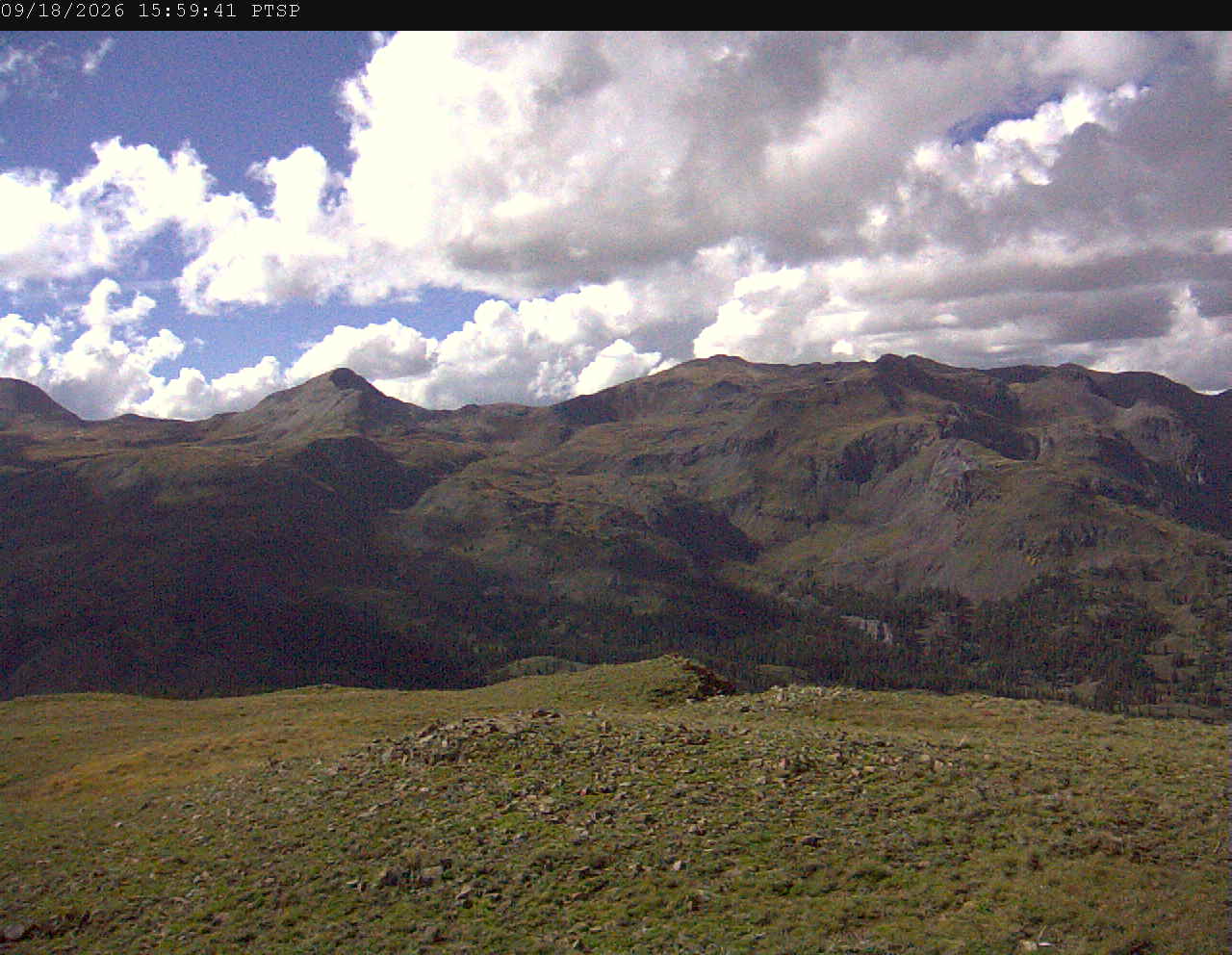 PTSP image 3