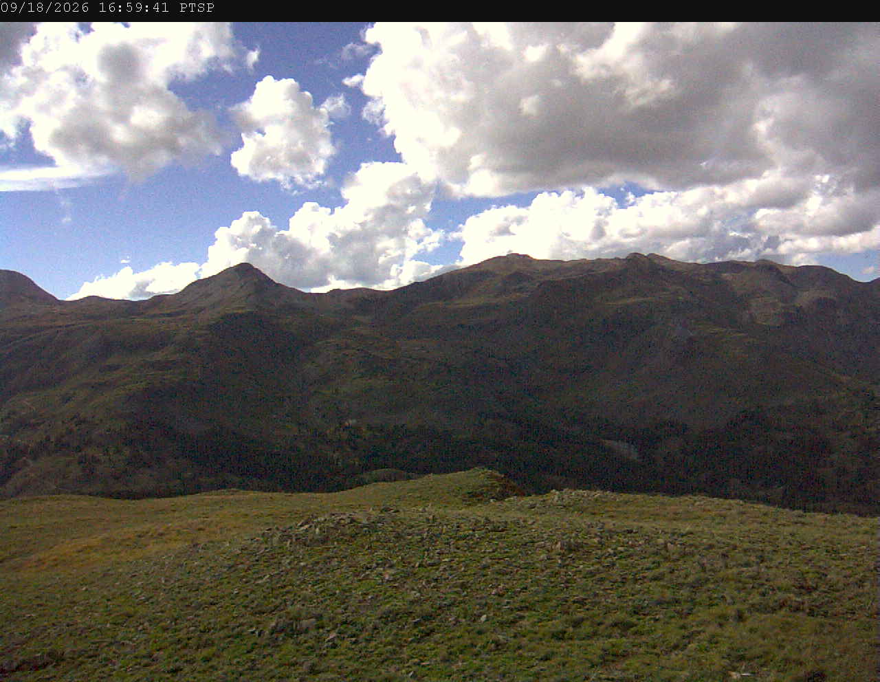 PTSP image 2