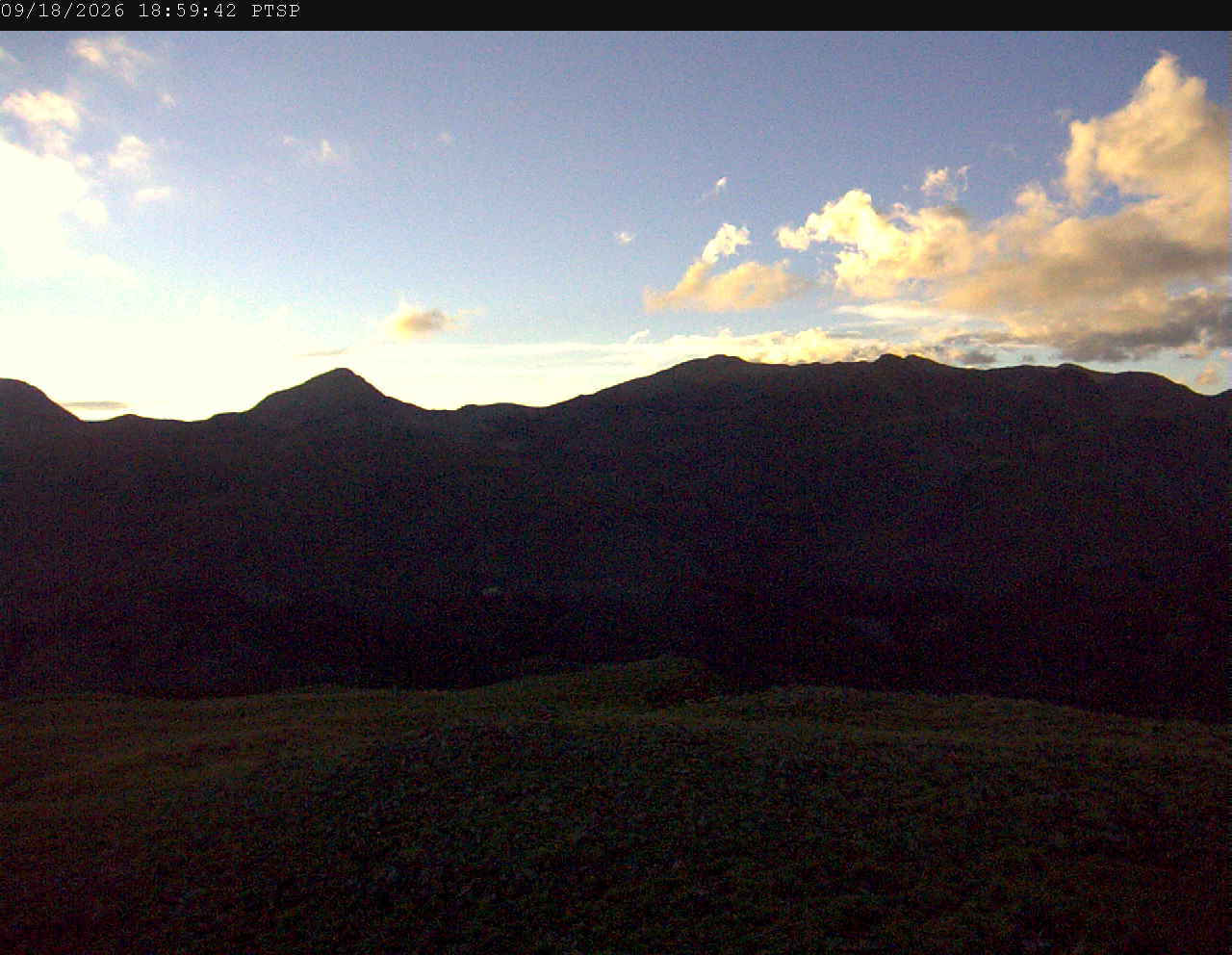 PTSP image