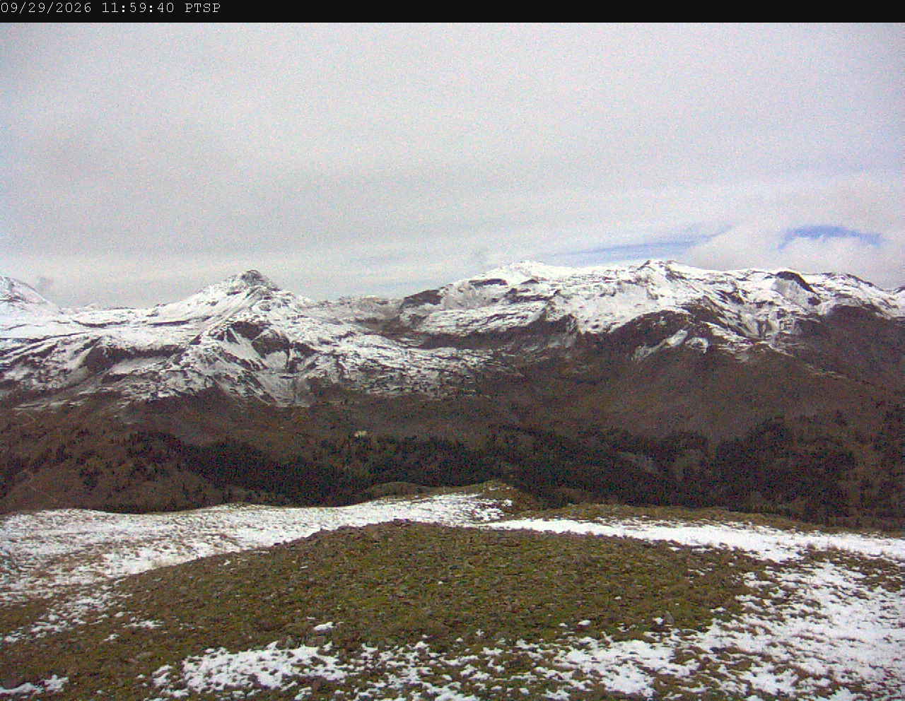 PTSP image 7