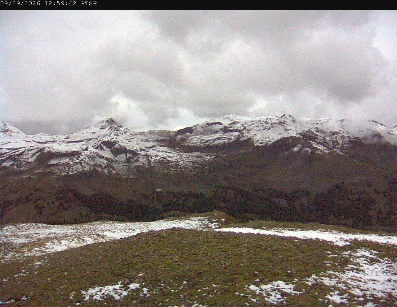 PTSP image 6