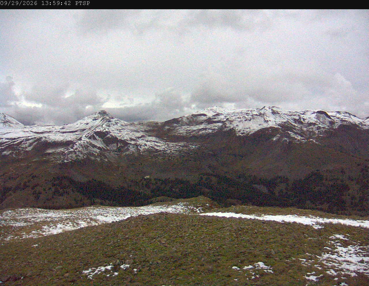PTSP image 5