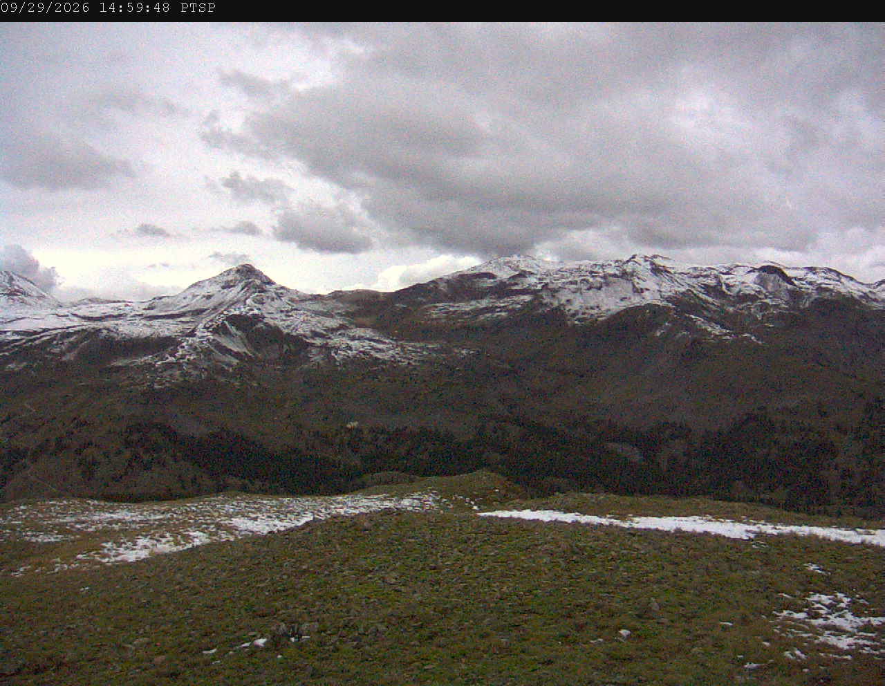 PTSP image 4
