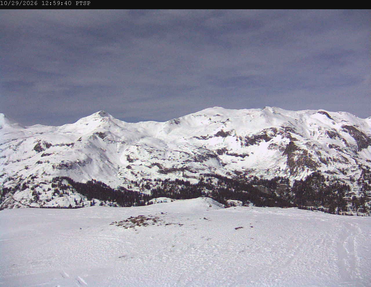 PTSP image 6