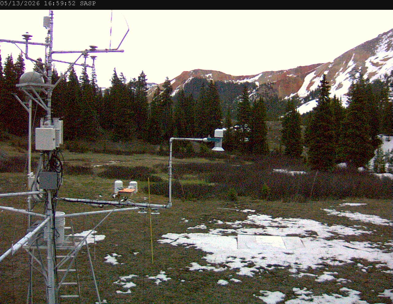 SASP image 5