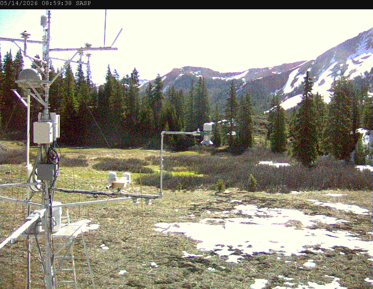SASP image 2