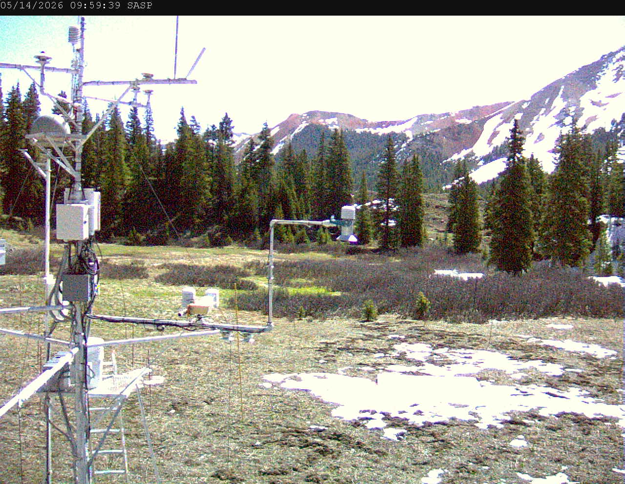 SASP image 1
