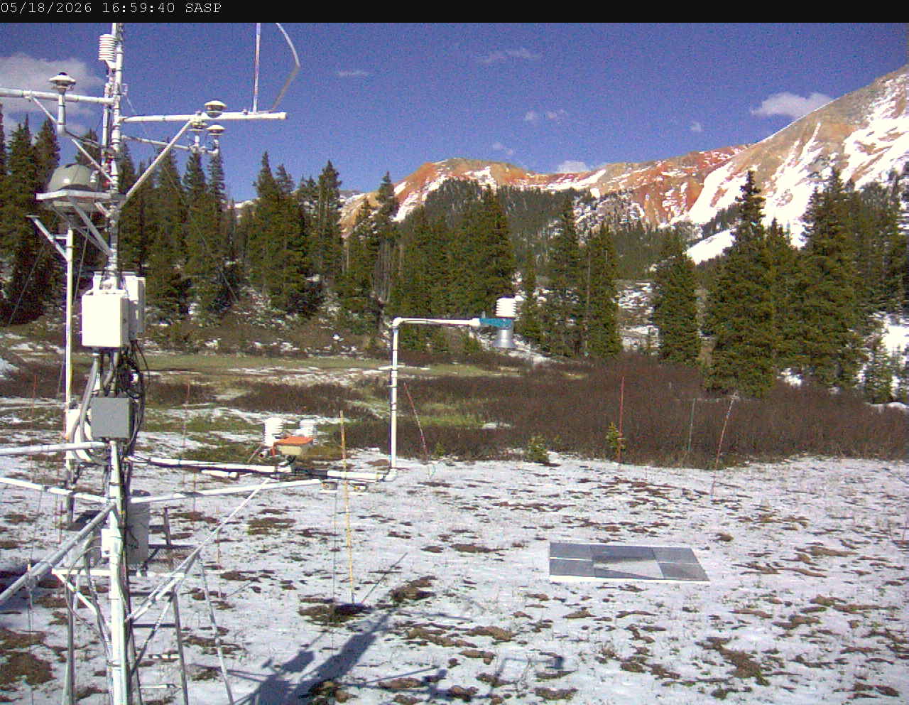 SASP image 1