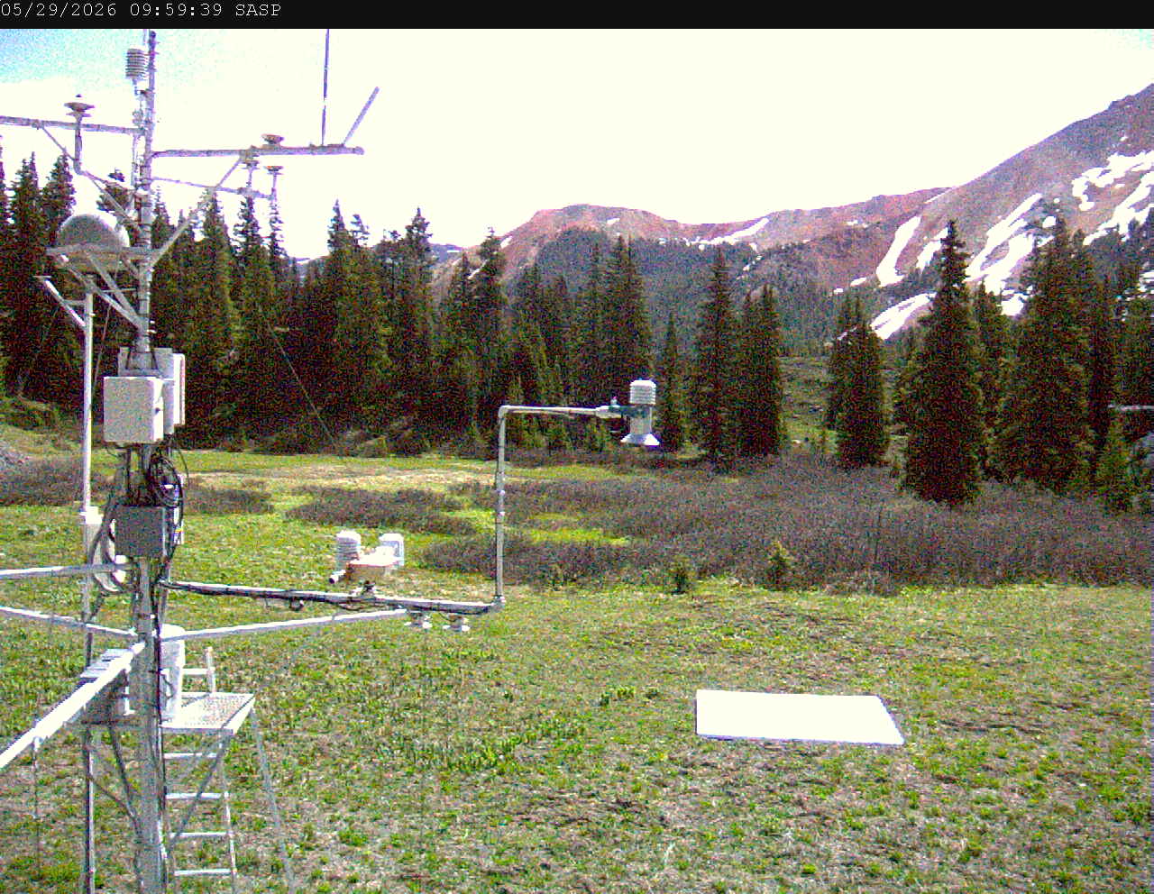 SASP image 7